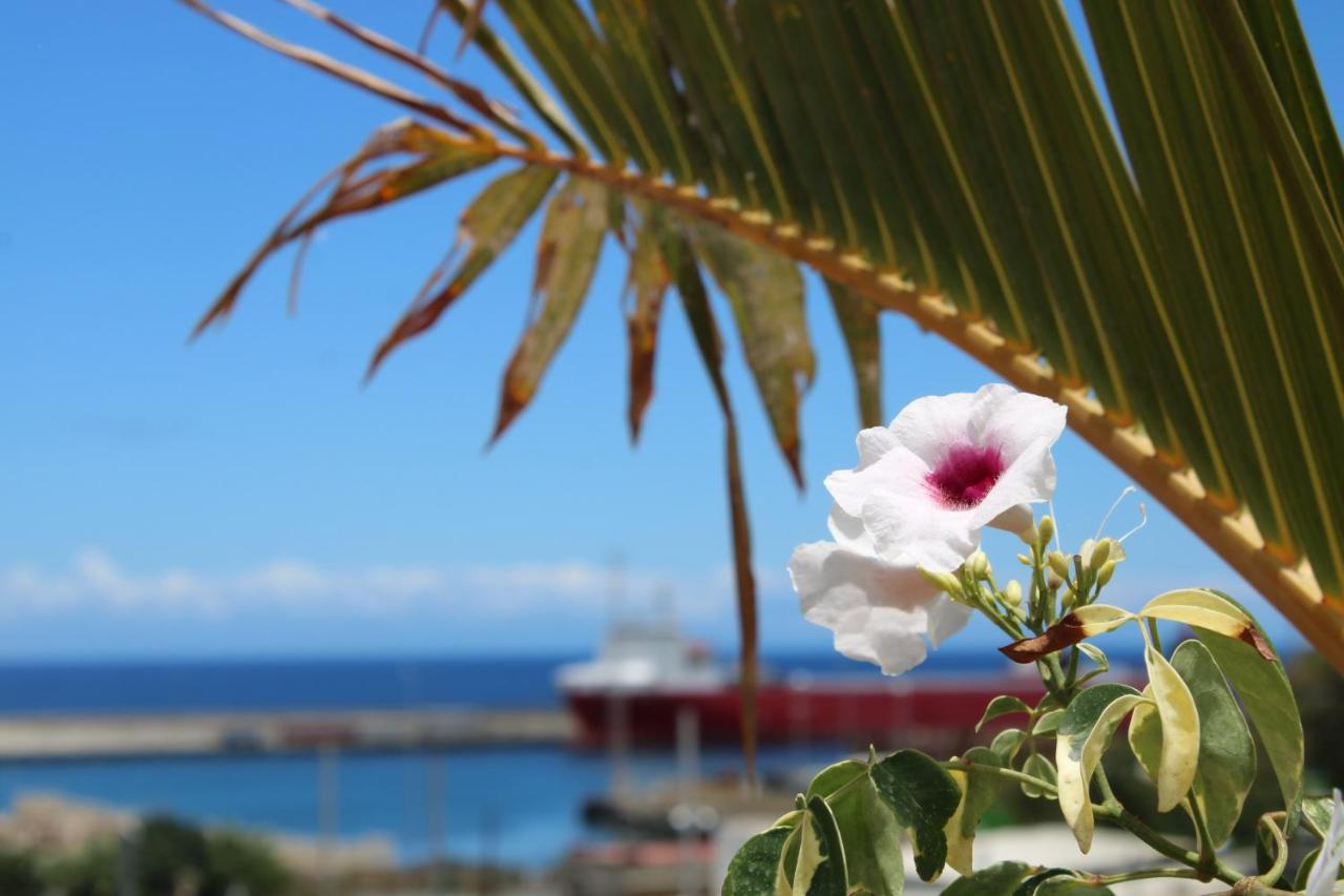 Ferienwohnung Terraza Del Atlantico, Un Oasis En La Ciudad Santa Cruz de Tenerife Exterior foto