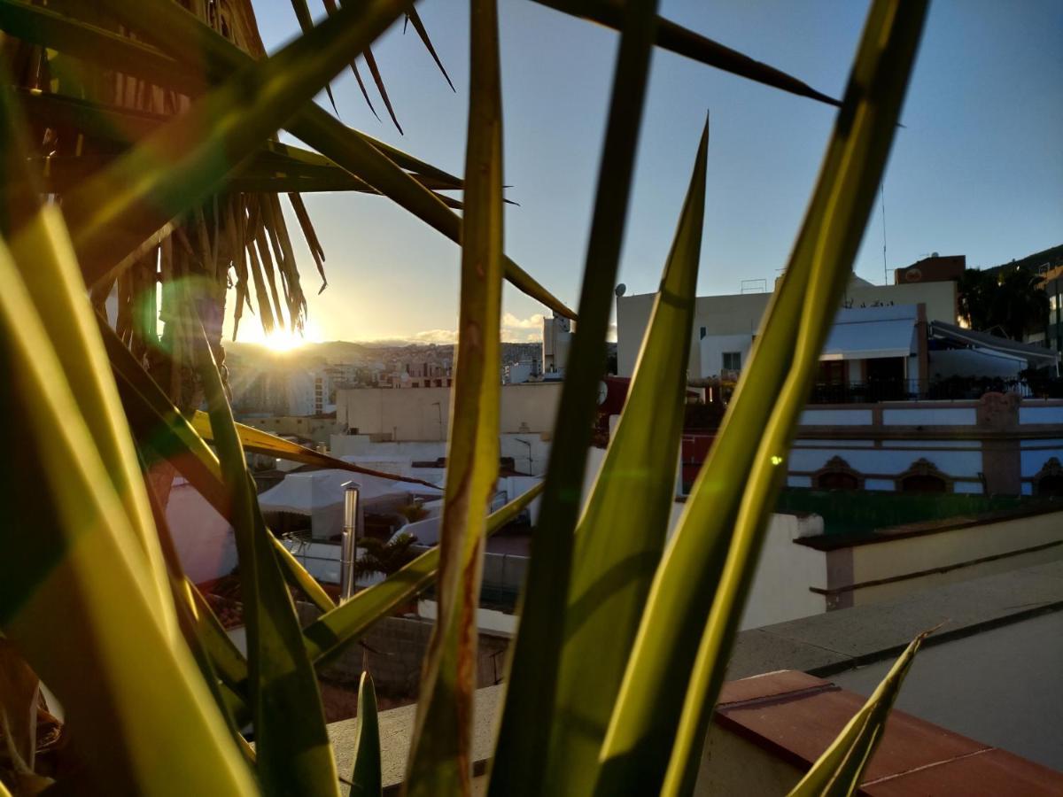 Ferienwohnung Terraza Del Atlantico, Un Oasis En La Ciudad Santa Cruz de Tenerife Exterior foto